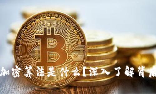 比特币钱包加密算法是什么？深入了解背后的安全机制