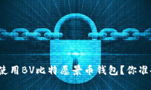 如何安全使用BV比特愿景币钱包？你准备好了吗？