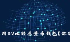 如何安全使用BV比特愿景币