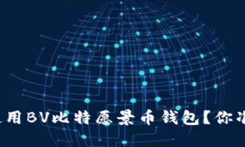 如何安全使用BV比特愿景币钱包？你准备好了吗？