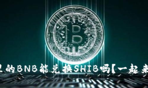 TP钱包里的BNB能兑换SHIB吗？一起来看看吧！