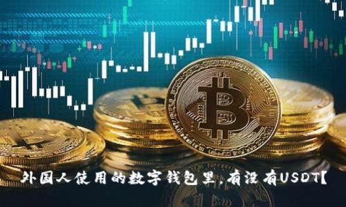 外国人使用的数字钱包里，有没有USDT？