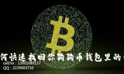 如何快速找回你狗狗币钱包里的钱？