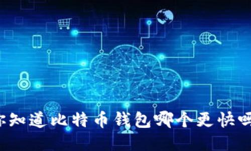 你知道比特币钱包哪个更快吗？