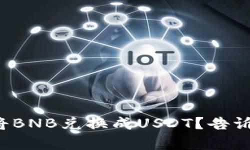 如何在To钱包中将BNB兑换成USDT？告诉你最简单的方法！