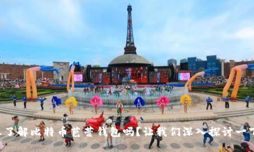 想了解比特币芭蕾钱包吗？让我们深入探讨一下！