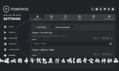 你知道比特币子钱包是什