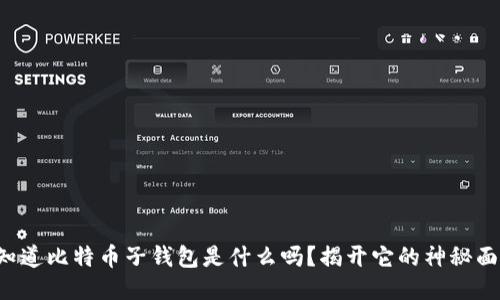 你知道比特币子钱包是什么吗？揭开它的神秘面纱！