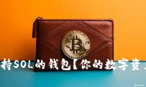 如何选择支持SOL的钱包？你的数字资产安全指南！