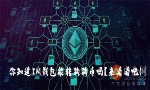 你知道IM钱包能转狗狗币吗？来看看吧！