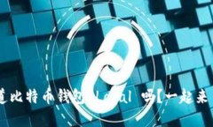 ziaoti你知道比特币钱包 