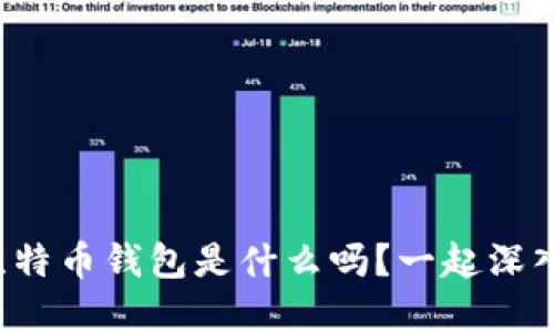 你知道比特币钱包是什么吗？一起深入了解吧！