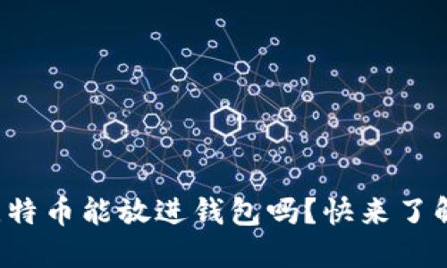 你知道比特币能放进钱包吗？快来了解一下吧！