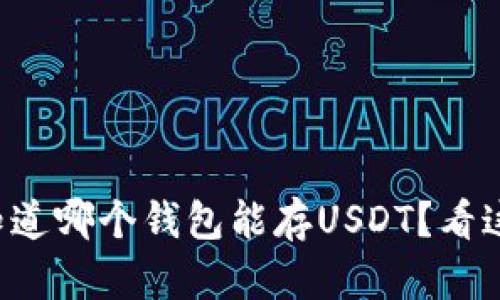 想知道哪个钱包能存USDT？看这里！