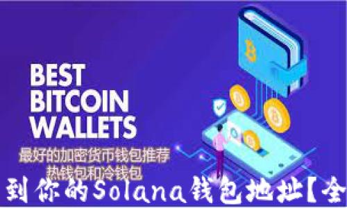 
如何找到你的Solana钱包地址？全面指南