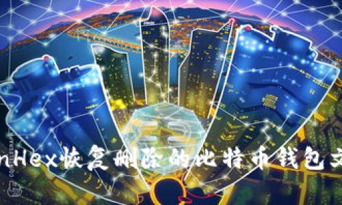 WinHex恢复删除的比特币钱包文件