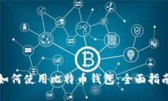 如何使用比特币钱包：全