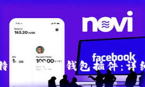 如何安装比特币游览器钱包插件：详细步骤与指南