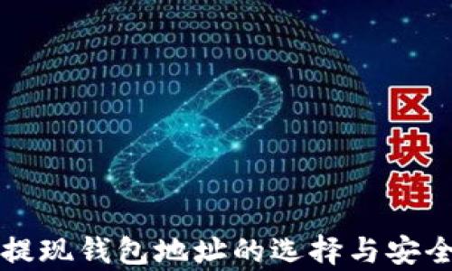 
比特币提现钱包地址的选择与安全性分析