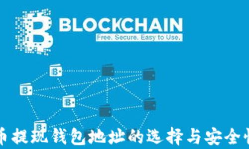 
比特币提现钱包地址的选择与安全性分析