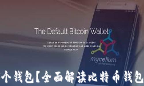 
比特币存在哪个钱包？全面解读比特币钱包的种类与选择