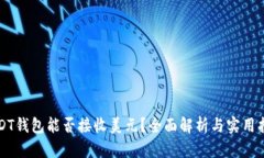 USDT钱包能否接收美元？全