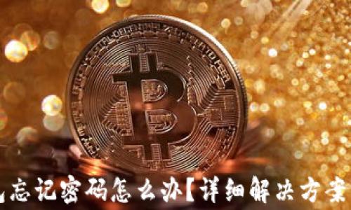 
比特币钱包忘记密码怎么办？详细解决方案与注意事项