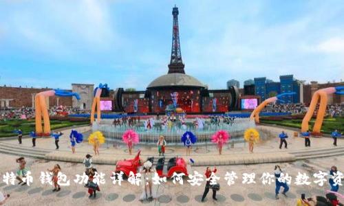 比特币钱包功能详解：如何安全管理你的数字资产