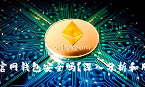比特币官网钱包安全吗？深入分析和用户指南