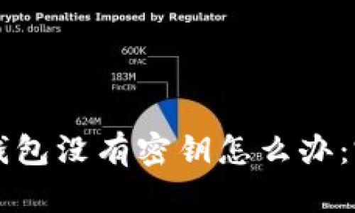 比特币钱包没有密钥怎么办：完全指南