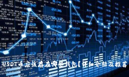 USDT币应该存在哪些钱包？详细介绍及推荐