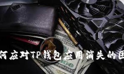 如何应对TP钱包应用消失的困扰