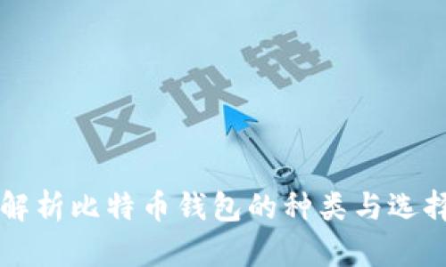 深入解析比特币钱包的种类与选择方法