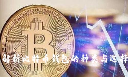 深入解析比特币钱包的种类与选择方法