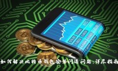 如何解决比特币钱包安装