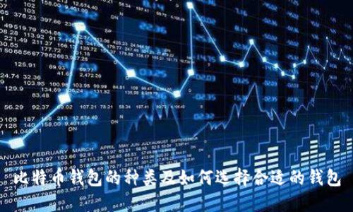 比特币钱包的种类及如何选择合适的钱包