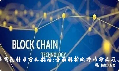 比特币钱包转币分叉指南：全面解析比特币分叉及其影响