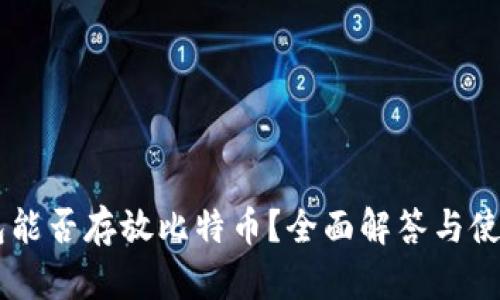 IM钱包能否存放比特币？全面解答与使用指南