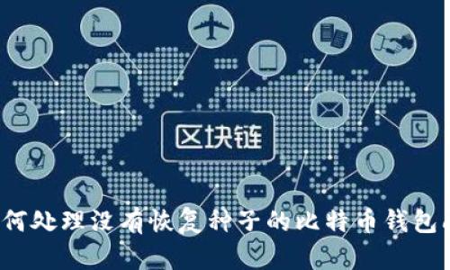  如何处理没有恢复种子的比特币钱包问题