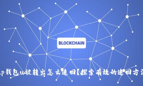 tp钱包u被转出怎么追回？探索有效的追回方法