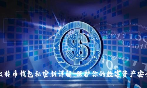 比特币钱包私密钥详解：保护你的数字资产安全