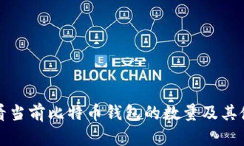 如何查看当前比特币钱包的数量及其使用指南