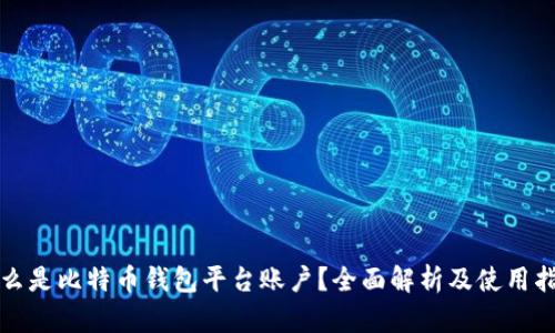 什么是比特币钱包平台账户？全面解析及使用指南