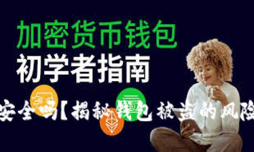 比特币钱包安全吗？揭秘钱包被盗的风险与防范策略