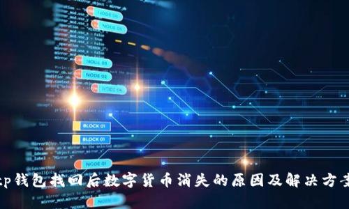 tp钱包找回后数字货币消失的原因及解决方案
