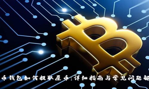 货币钱包如何提取屎币：详细指南与常见问题解答