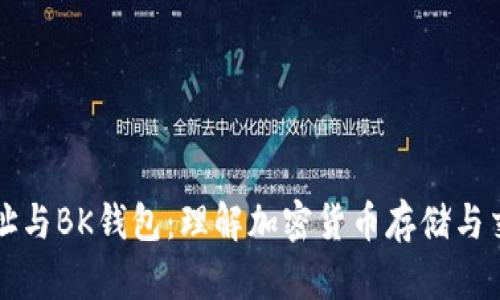 比特币地址与BK钱包：理解加密货币存储与交易的要素