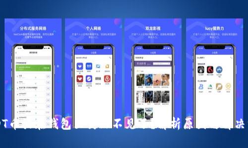 USDT币放在钱包里突然不见了？解析原因与解决方式