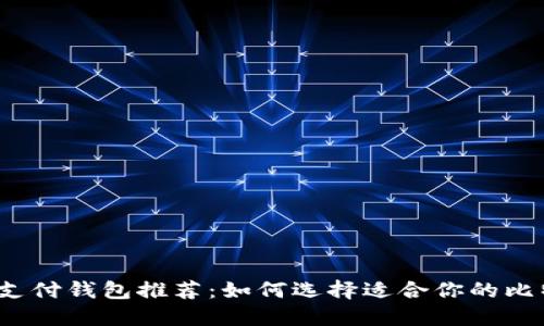  比特币支付钱包推荐：如何选择适合你的比特币钱包