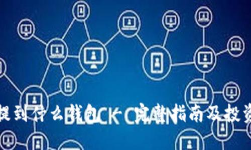 屎币提到什么钱包 - 完整指南及投资建议